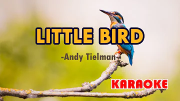 Little Bird [Karaoke] | Popularized by Andy Tielman