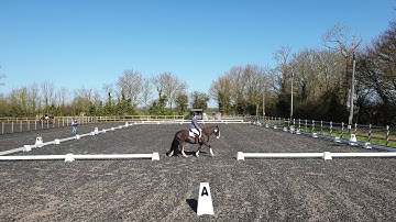 BD Intro A - 70.65% - Our Debut! - First Ever Dressage Test (for horse & rider) - HDRC Dressage