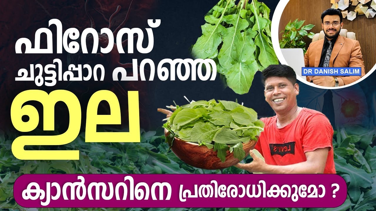 1651: ഈ ഇല കഴിച്ചാൽ കാൻസർ തടയുമോ | Can eating this leaf prevent cancer?