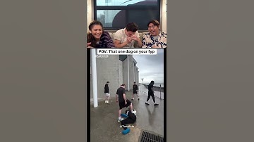 Tom Holland react try to laugh part 51 #tomholland #trynottolaugh #funny #reaction