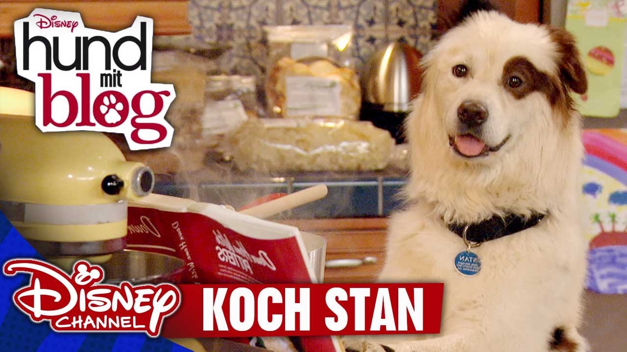 HUND MIT BLOG - Clip: Koch Stan | Disney Channel App 📱