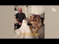 HUSKY Makes Muddy Disaster 😱 | FUNNIEST of the Week