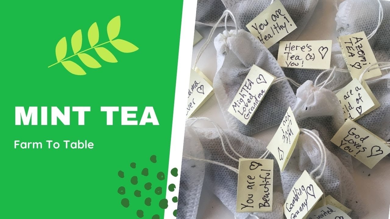 🍵 🌿 How To Make Homemade Mint Tea YouTube