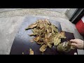 сушка и ферментация табака