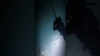 🏴 SPEARFISHING NORTH WALES UK @oceanammospearguns @SpearfishingUK