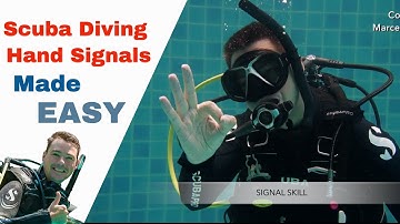 Scuba Diving Hand Signals 👌 How Divers Communicate Underwater!