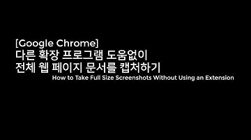 [Google Chrome] 다른 확장 프로그램 도움없이 전체 웹 페이지 문서를 캡처하기