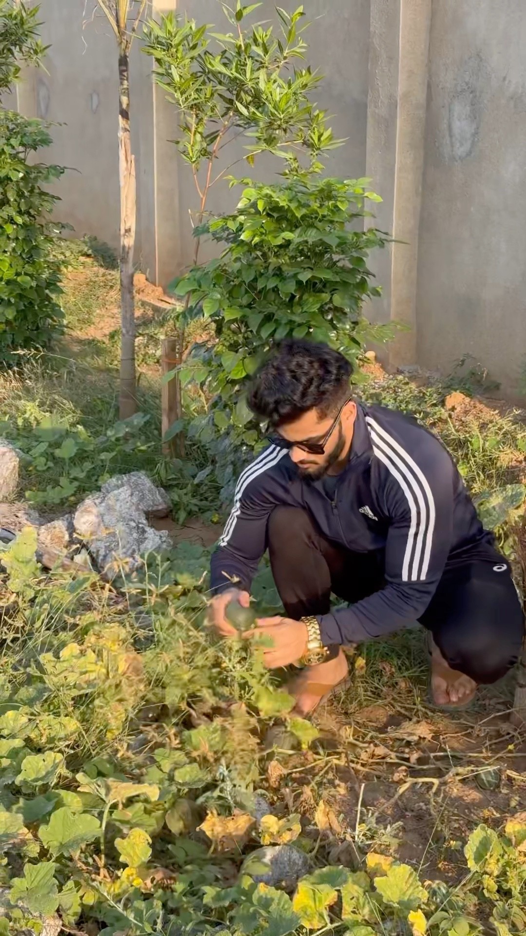 Desi #pawansahu #motivation #bodybuildinglife #jaishreeram