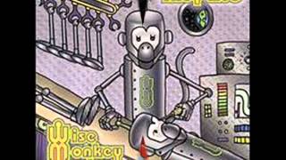 Video thumbnail of "Wise Monkey Orchestra - Make Believe - The Trut"
