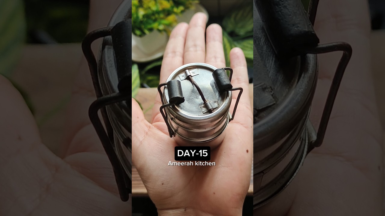 Mini Lunch Box Series Day 15😋