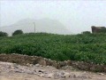 حن قلبي على الاوطان زود حنيني تحياتي صالح المــرادي 