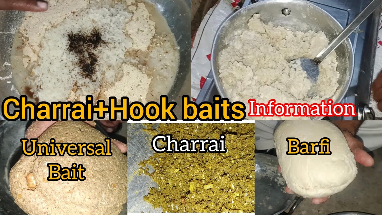 Fishing tricks// important information for new Anglers// informative video 