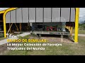 Banco de Semillas: La Mayor Colección de Forrajes Tropicales del Mundo-TvAgro por Juan Gonzalo Angel