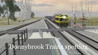 TRS19 - Trainz Spotting at Donnybrook Pass and freight