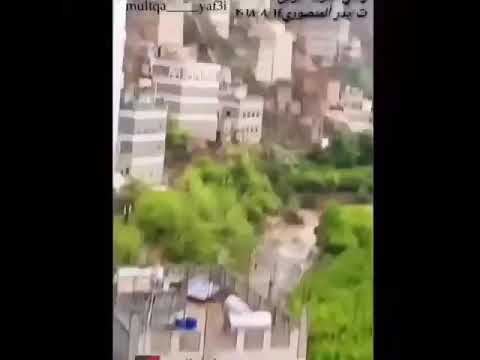 يافع واسيلوه سيلوه