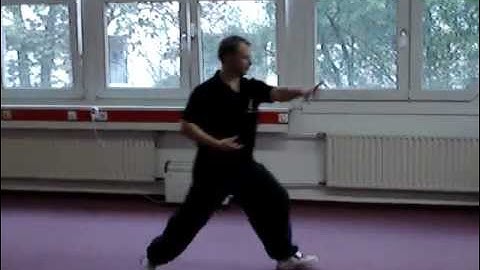 Qi Shou - Seven Hands - Tang Lang Quan (Praying Mantis)