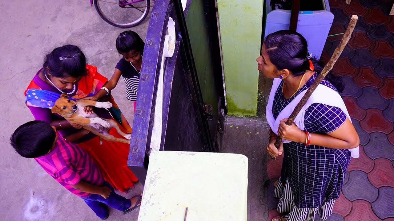 ரோட்டுல இருந்து 