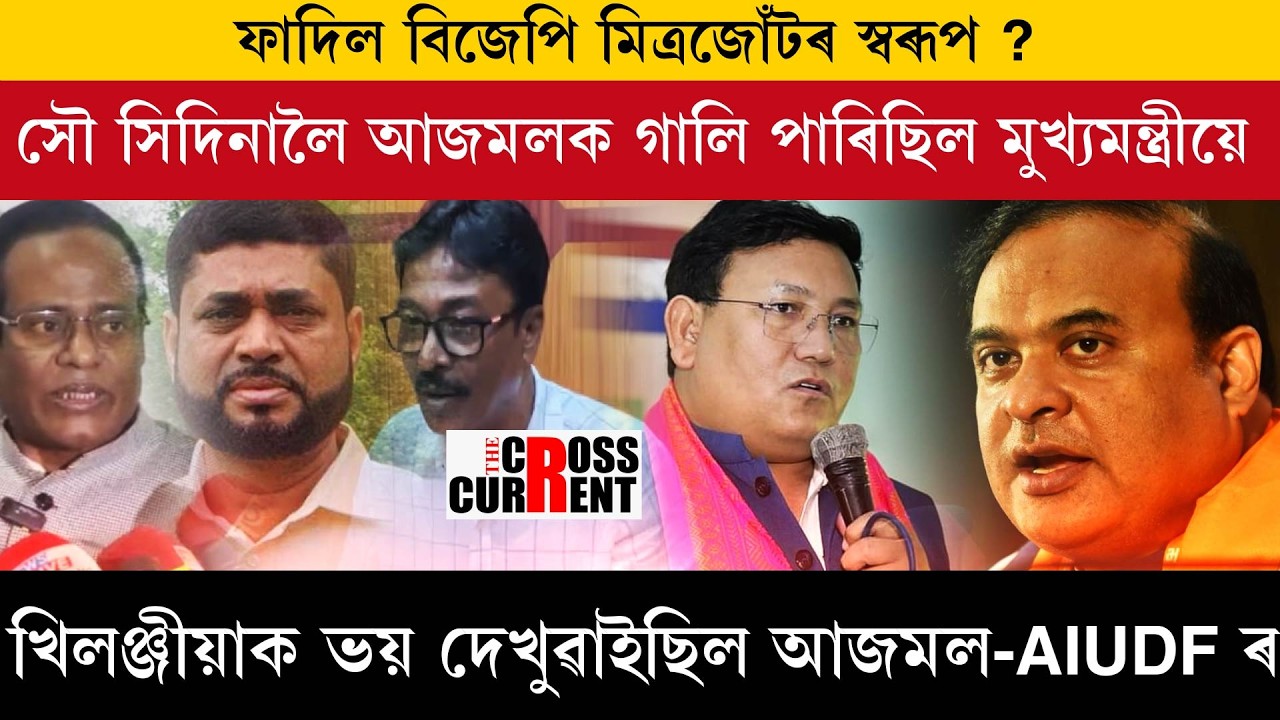 ফাদিল বিজেপি মিত্ৰজোঁটৰ স্বৰূপ ?