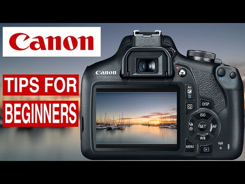 CANON CAMERA AND PHOTOGRAPHY TIPS - USING LIVE VIEW For Beginners.