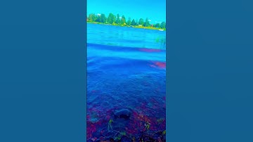 اذكار الصباح #اكسبلور #المصحف #قران_كريم #nature #quran #azkar