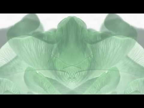 Juan Domi Jörg Spiritual Healing GoneWest Remix