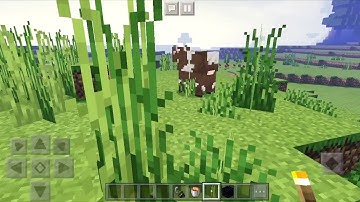 Minecraft Bedrock Edition:The Best Shaders Truly For Mcpe!(Creeper PE Shaders)End of S1 of shaders