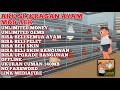 Game offline aku si juragan ayam mod apk seru dan cocok buat ngabuburit kalian