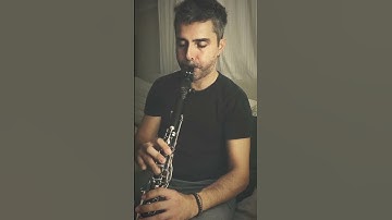 Thumbnail of Akşam Oldu Hüzünlendim Ben Yine / Ender Polat