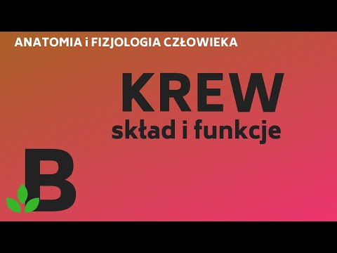 skład i funkcje KRWI - układ KRĄŻENIA anatomia i fizjologia człowieka - KOREPETYCJE z BIOLOGII - 246