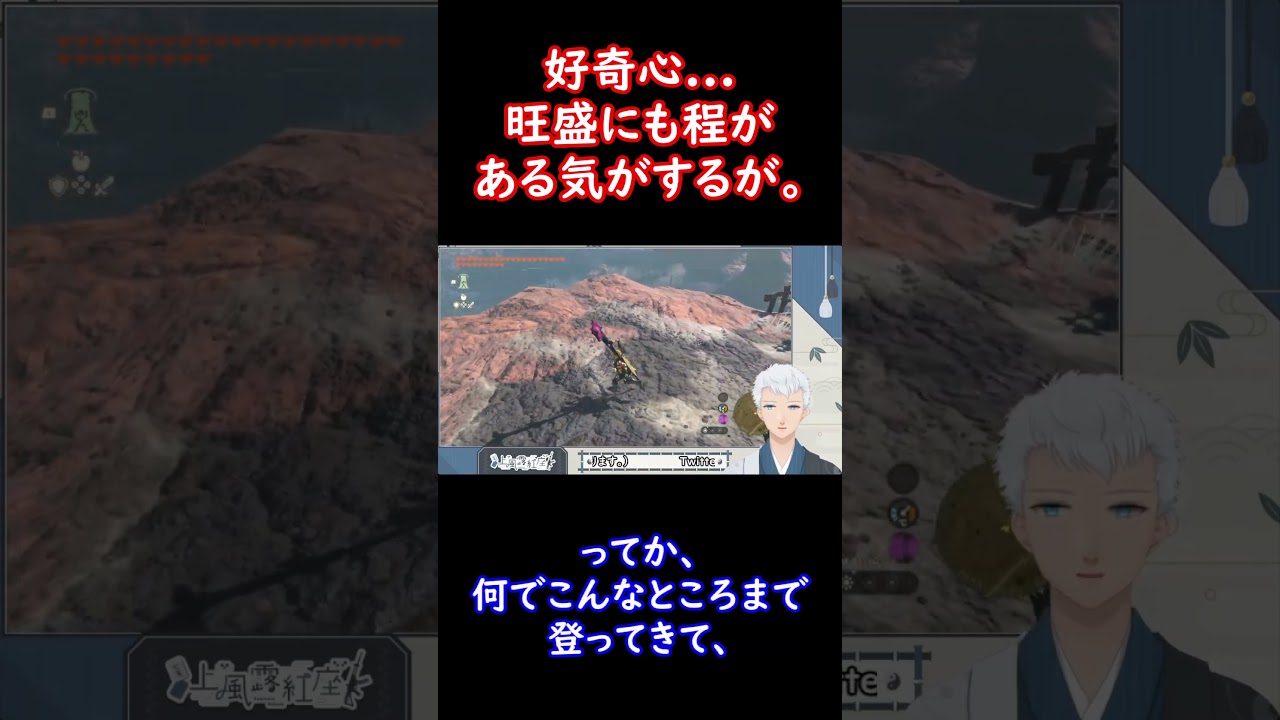 【ゼルダの伝説ティアーズオブザキングダム】好奇心。#Shorts