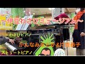 伊豆わさびミュージアムで演奏してきました♪