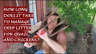 How Long Does it Take to Manage Deep Litter for Quail and Chickens