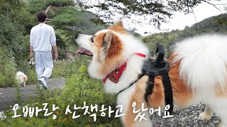 양희 등에 고프로를 달면 양희가 훨씬 더 귀여워집니다ㅣTaking a walk with Yanghee!