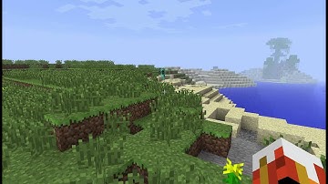 So I got the Custom NPCs Mod...