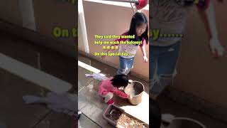 #shorts What happened for Children and water on balcony on Mother&#39;s Day | 母親節玩水的孩子们……