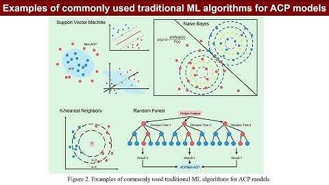 iMetaOmics | Artificial intelligence-driven anticancer peptide discovery