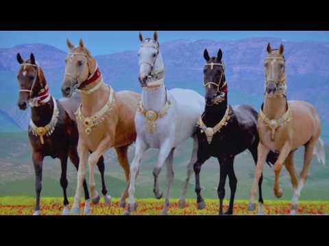 Video: Turkmenistan Veranstaltet „Pferdeschönheit“-Wettbewerb