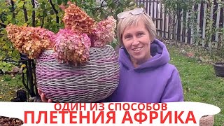 ПЛЕТЕНИЕ АФРИКА | ОДИН ИЗ СПОСОБОВ | ПЛЕТЕНИЕ РОТАНГОМ