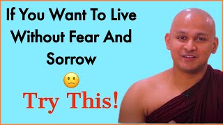If You Want To Live Without Fear And Sorrow ? Try This