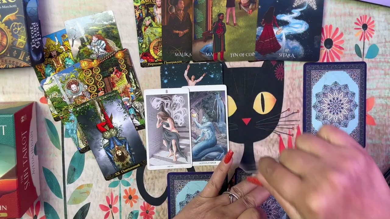 🌈🚀🎯შენი ცხოვრების ახალი გზა