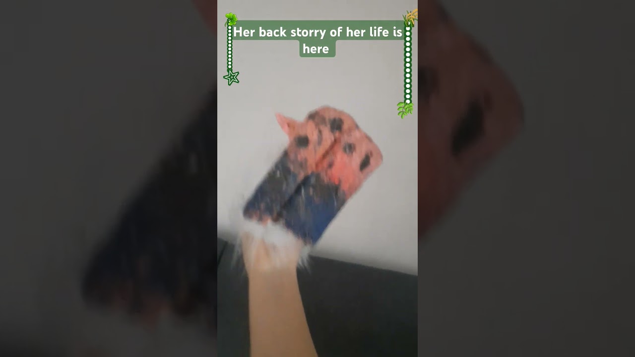 PLS PAUSE TO READ ALL PLSSSS