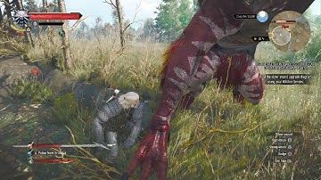 The Witcher 3: Wild Hunt - Fiend Ragdoll