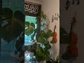 آهای آهـــــای روزگـــــار آهای آهـــــای روزگـــــار