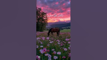 راحة نفسية | #تلاوة_خاشعة #اكسبلور #istagfar #قرآن #راحة_نفسية #yasseraldossary #حالات_واتس #quran
