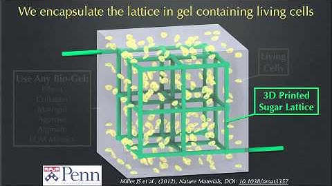 3D Printed Sugar Lattice for Vascular Casting in Engineered Living Tissues