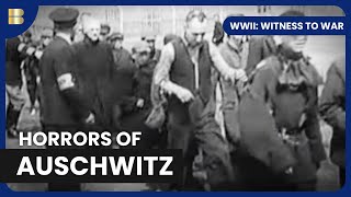 Auschwitz to Berlin: The Final Battle - WWII: Witness to War - S01 EP11 - History Documentary