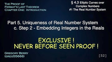 EXCLUSIVE! Uniqueness of Real Numbers - Step 2 Integers #4.3.1.5c