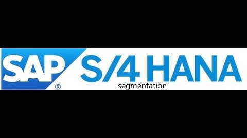 Segmentation in S/4 HANA
