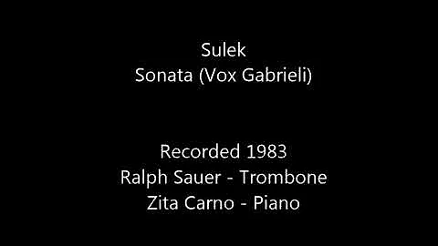 Ralph Sauer Plays Sulek Sonata (Vox Gabrieli)