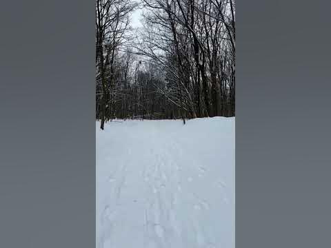 Багато снігу #україна #київ #сніг #зима #природа #снігопад #снігопад # ...